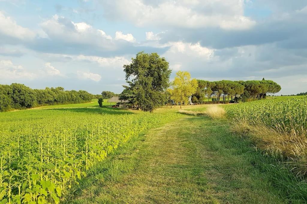 Gite De Campagne L'Estressol Cuq  外观 照片